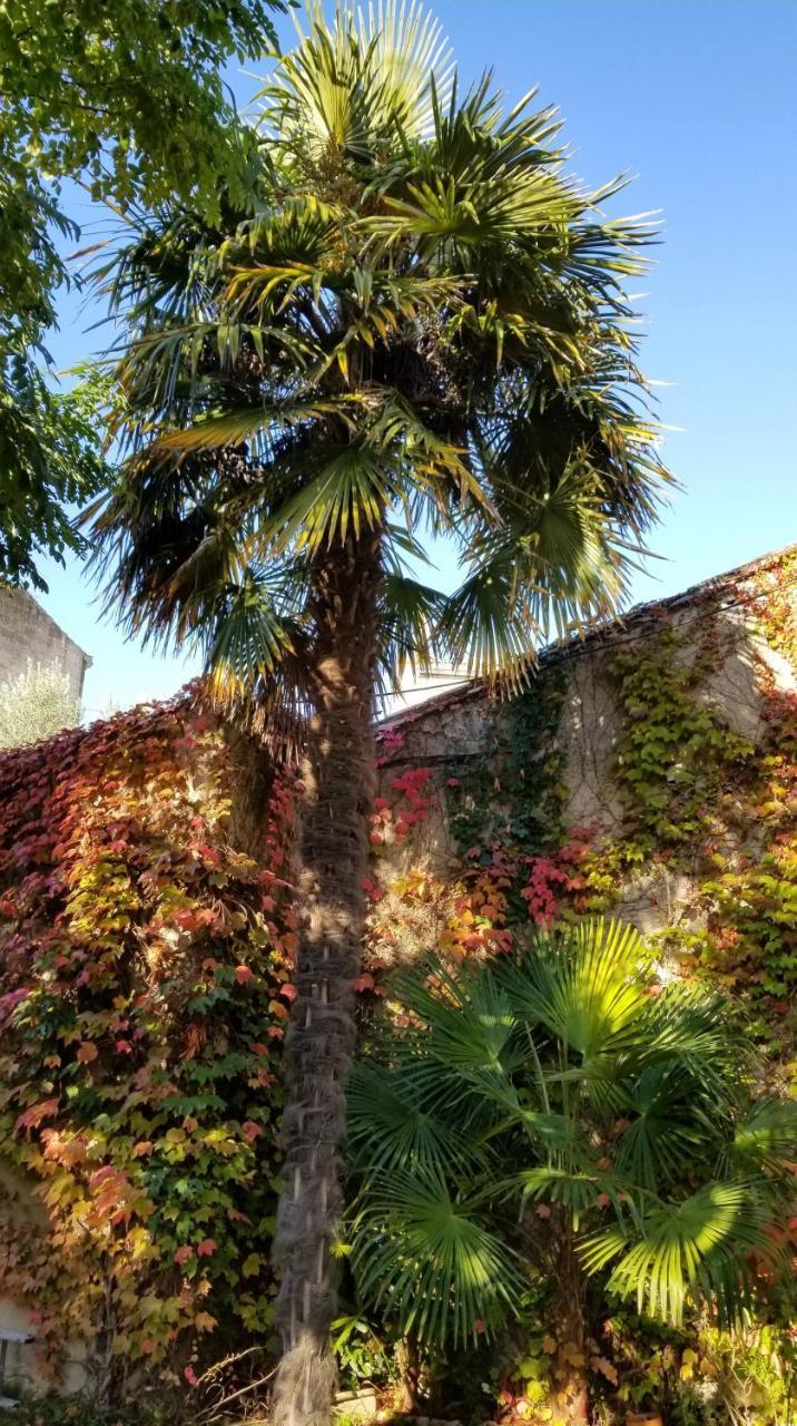 La Maison Blanche Blaye Exteriör bild